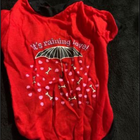 Other - Dog Outfit Says it’s Raining Love size X-small . New